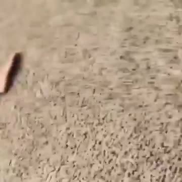 남자들만 이해할 수 있다는 '고통'의 순간 (영상)