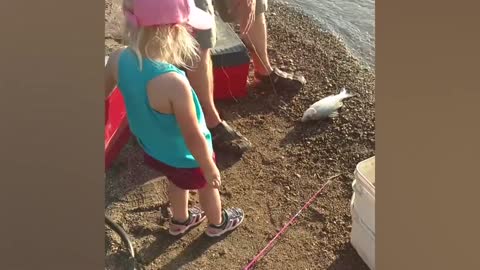 So Funny and Cute Baby meets fish