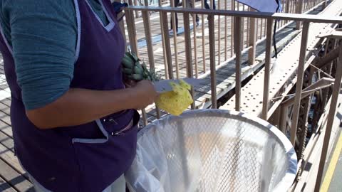 Cutting a pineapple