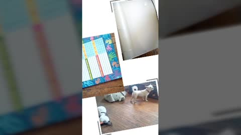 today video