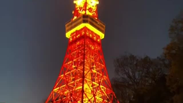 tokyo tower night view