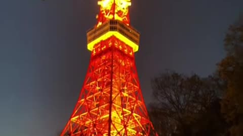 tokyo tower night view