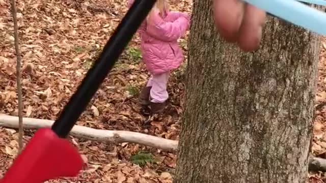 Pixley Farm Tapping Sugar Maple Trees part 2 2016