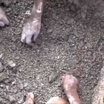 Green Energy: The Greatest Deception in Modern History