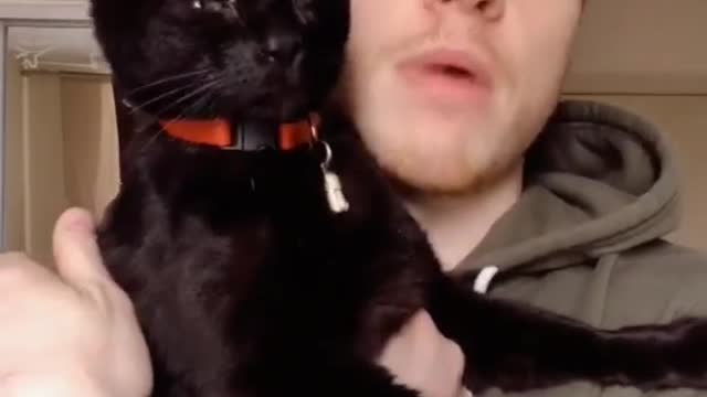 The cat can sing? #short