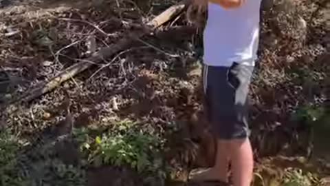 Make your own fruit picker with a plastic bottle and PVC pipe 🍊🍎🍐