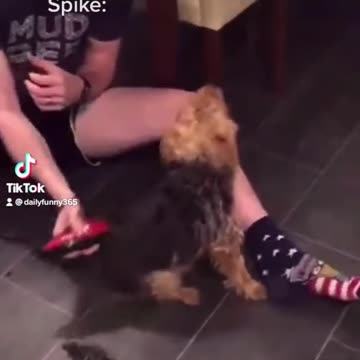 This gets better the more you watch it