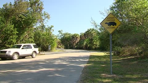 mareTV Classics Florida Doku (2008)
