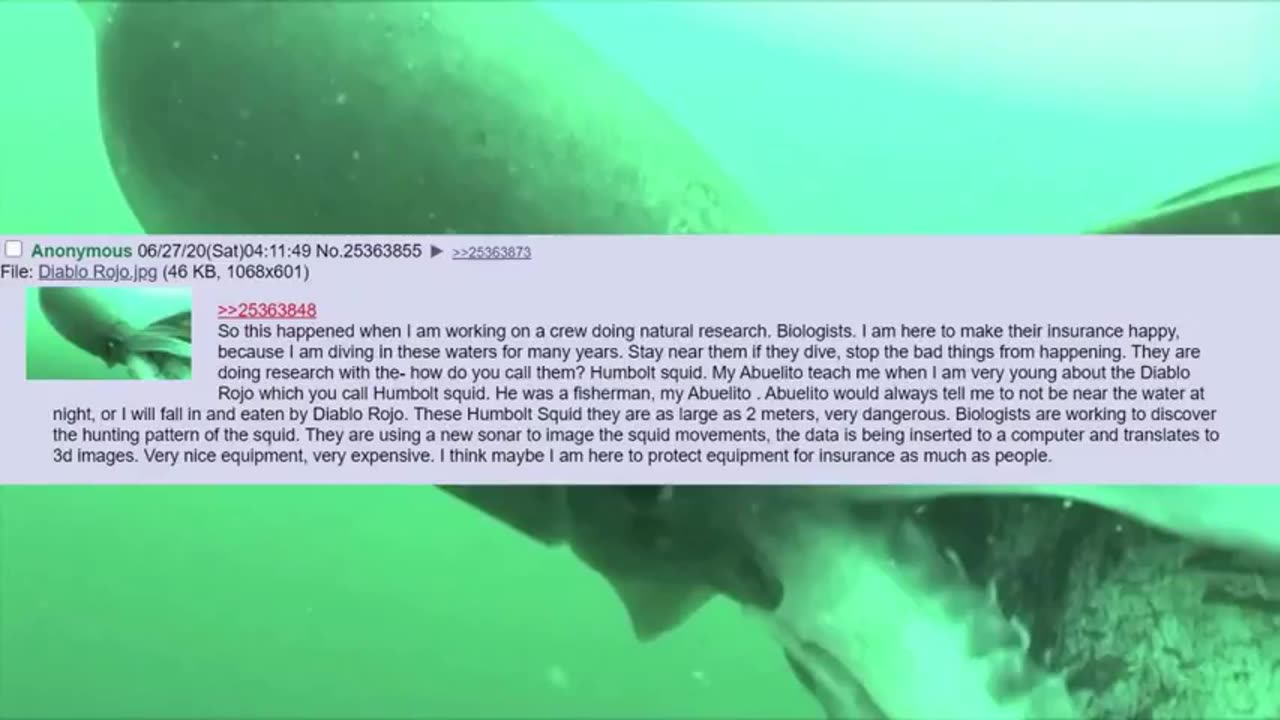 Chan story - x - Deep sea threads & dive anon stories z