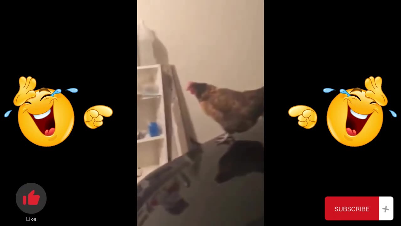 Funny Fails Compilation🤣🤣😂😂#viral#best fails#comedy#funn