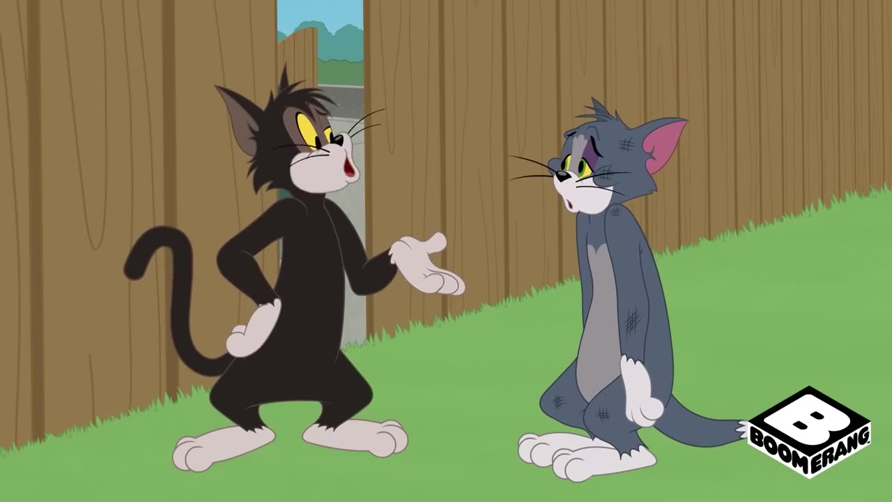 Tom & Jerry | Viral Video |