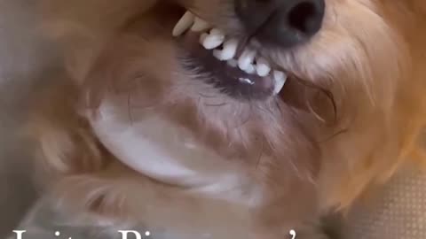 Tiktok Compilations #viral