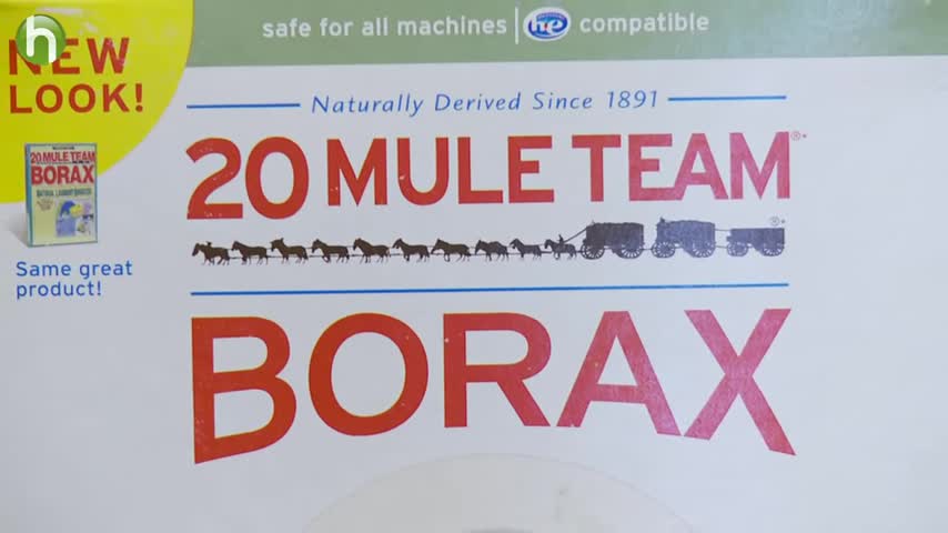 how to clean mold with Borax
