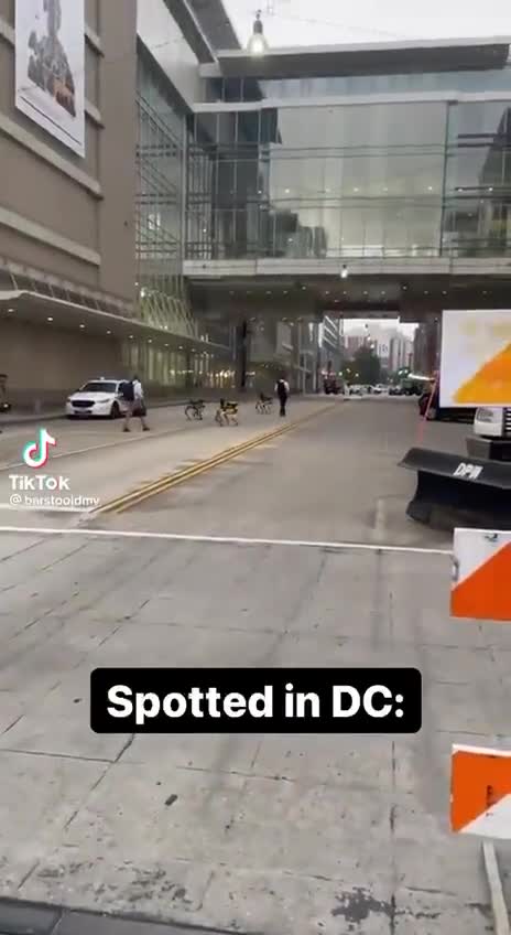 Robot dogs spotted in Washington