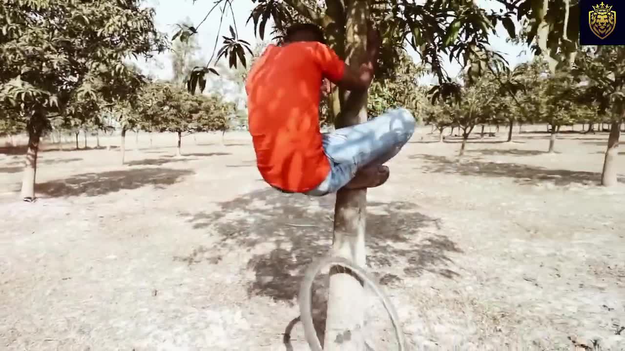 TOP NEW Comedy Video 🤣