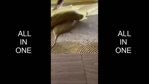 Amazing Floor Coloring Flooring Technic