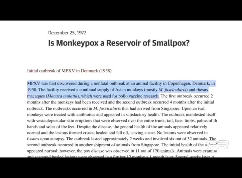 Greg Reese : Monkeypox update.