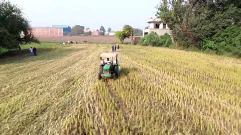 Punjab farmers fight the smog with eco-friendly agriculture