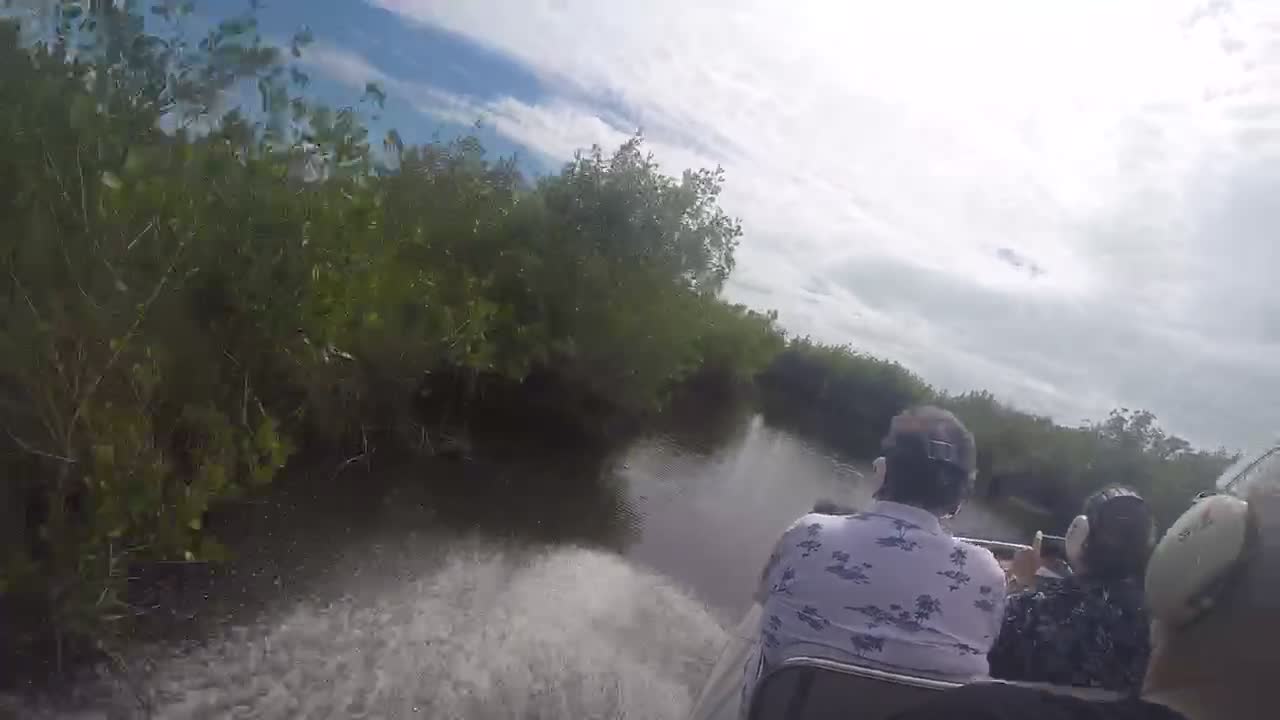 Cruising the Everglades