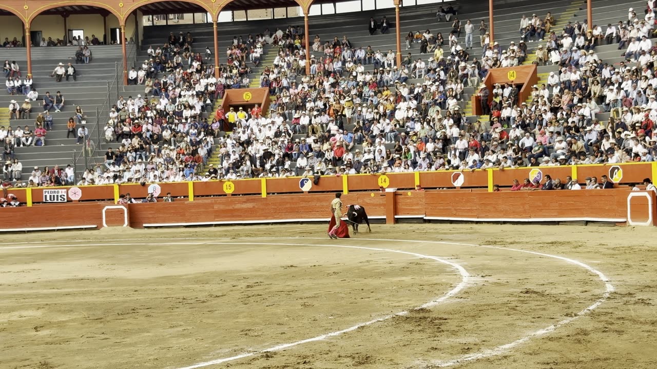 Pedro Luis y el primer de su lote