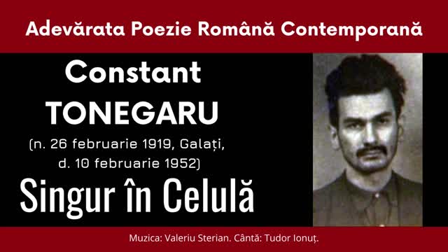 Constant Tonegaru - Singur în Celulă