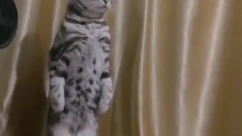 Be Careful, Stand Up #shorts #viral #shortsvideo #video