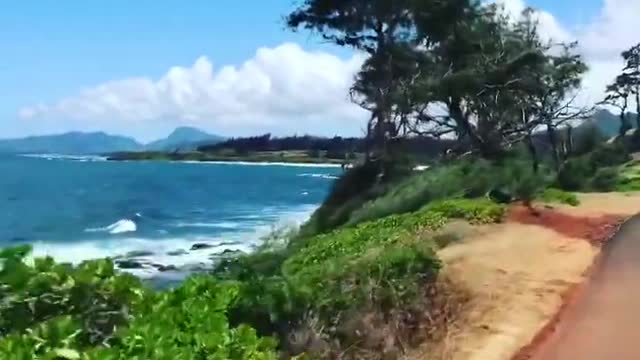 One Minute Life Activation Meditation - June 14th 2019