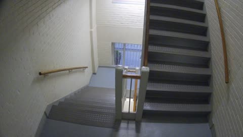 3883FHOB03Stair7_2021-01-06_07h09min30s620ms.mp4