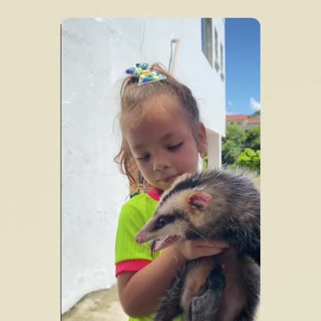 Girl adopts opossum as a pet and family can't convince her otherwise