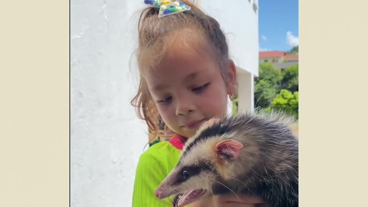 Girl adopts opossum as a pet and family can't convince her otherwise