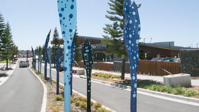 The Waterfront, Shell Cove - Dragonettes by Vera Moller