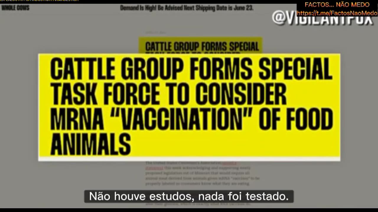 💉⚠️SASHA LATYPOVA, FALA SOBRE VACINAS mRNA NO SECTOR ALIMENTAR: "TESTARAM-NAS EM 8 RATOS, MAS VÃO PÔ-LAS EM VACAS?"💉⚠️