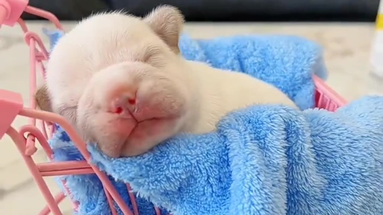 Cute little baby sleeping peacefully