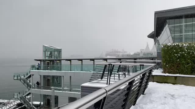 Coal Harbour, Downtown Vancouver