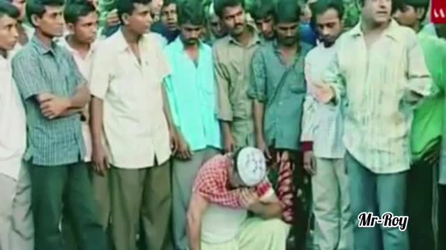 হালায় কামডা করল কী