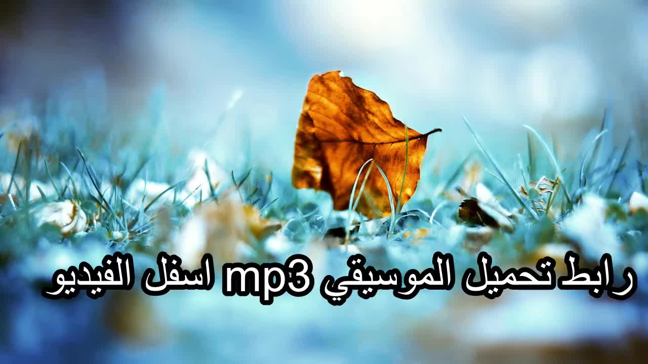 موسيقى هادئة