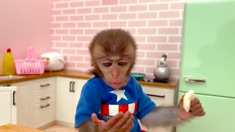 Hi! I am monkey robbert
