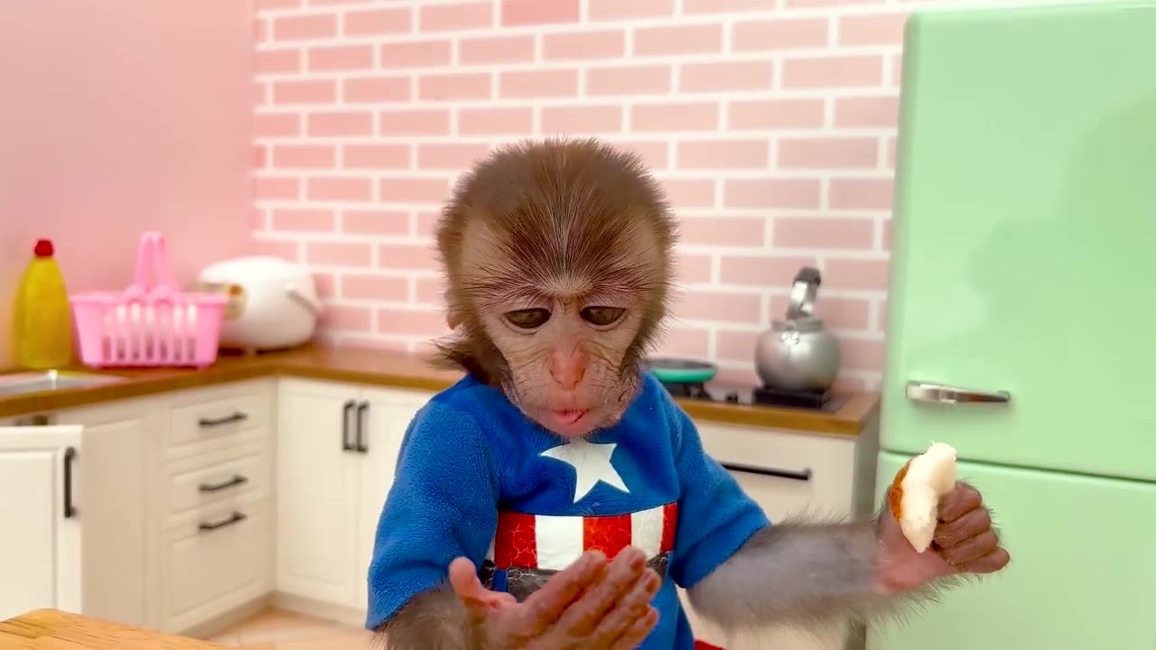 Hi! I am monkey robbert