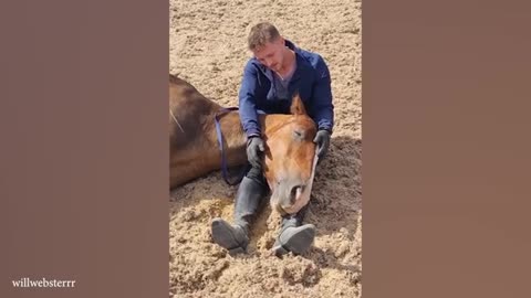 Funniest ANIMAL and HUMAN Videos 2024 will make you LAUGH SO HARD