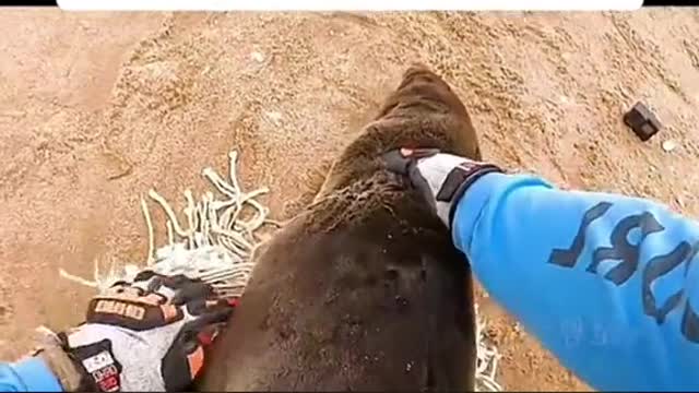 Watch how this man save the life ☺️