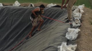 Man Saves Trapped Dog From Pond