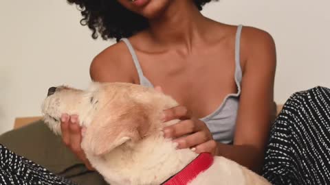 playful-dog-owner-petting-and-loving-her-dog