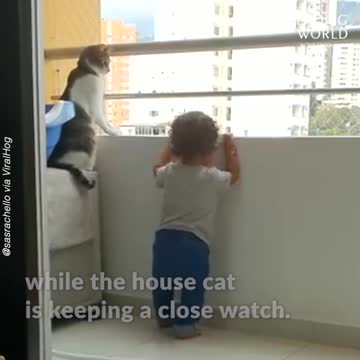 Cat Keeps Little Human Safe new