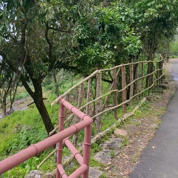 The most natural beautiful views in Kerala