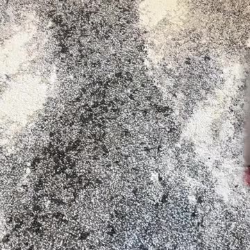 *BEST* Amazon Must Haves That TikTok Made Me Buy It #shorts