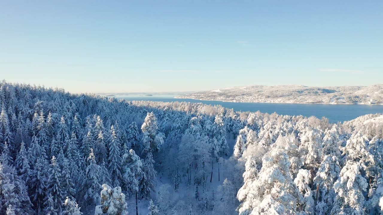 Flying slow towards a fjord above epic snowy cold winter forest