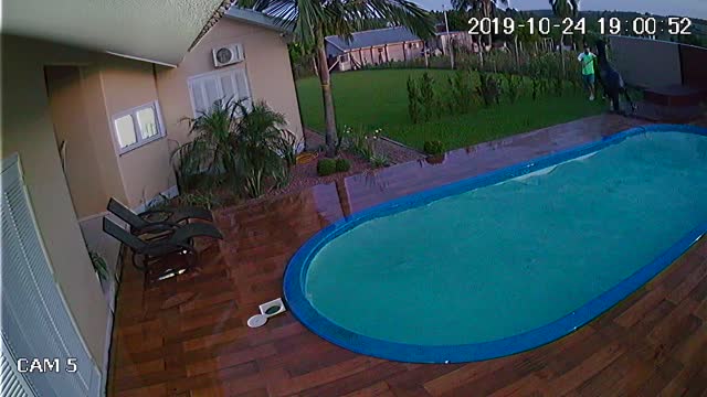 Horse Escapes and Accidentally Falls into Pool