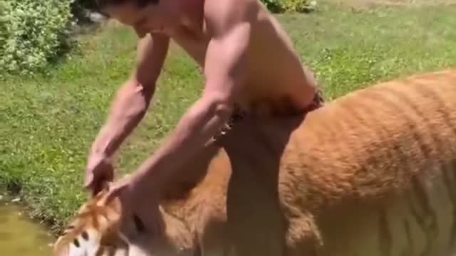 Dog gets excited when it gets pet
