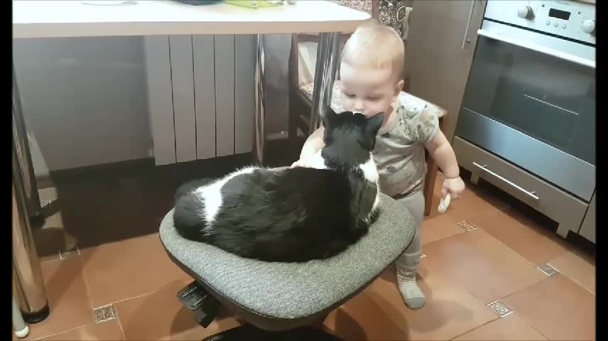 This Kid Loves His Cat Part 5