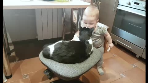 This Kid Loves His Cat Part 5